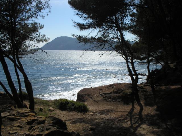 Location appartement T4 La Seyne sur Mer - Photo 9