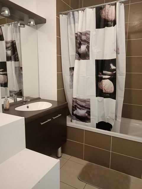 Location appartement T2 Seynod - Photo 4