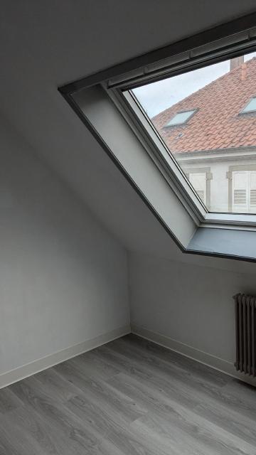 Location appartement T2 Strasbourg - Photo 10