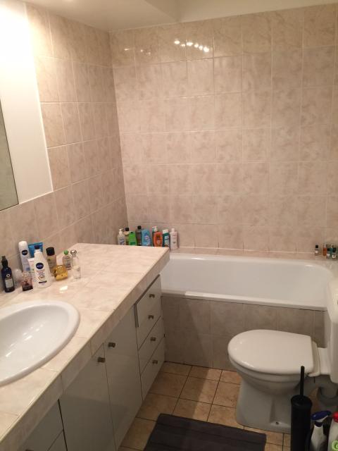 Location appartement T2 Lyon 6 - Photo 3