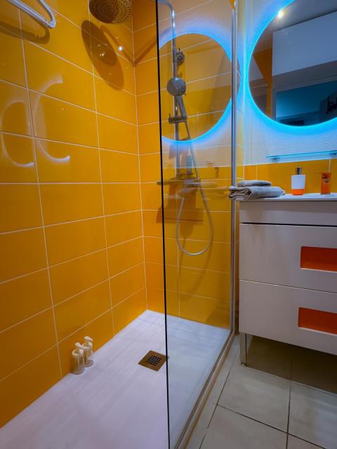Location appartement T2 Lyon 8 - Photo 5