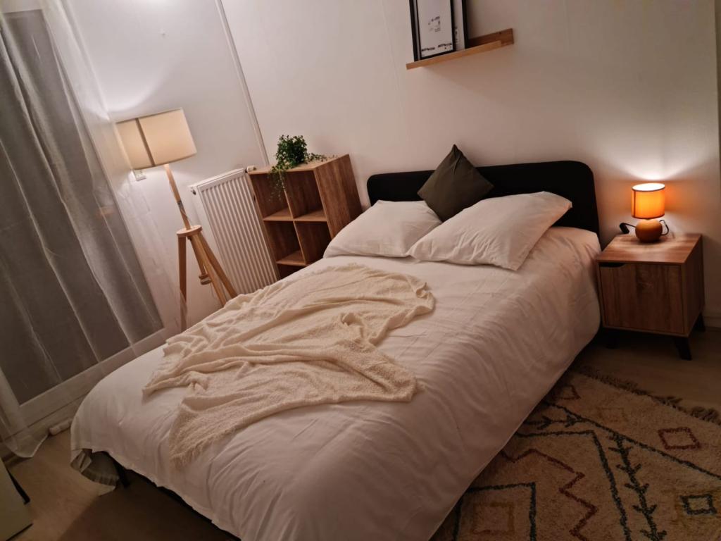 Location chambre Lille - Photo 1