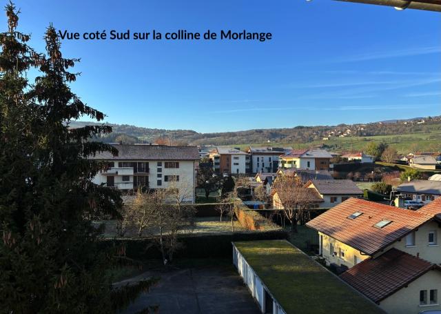 Location appartement T3 Reignier - Photo 3