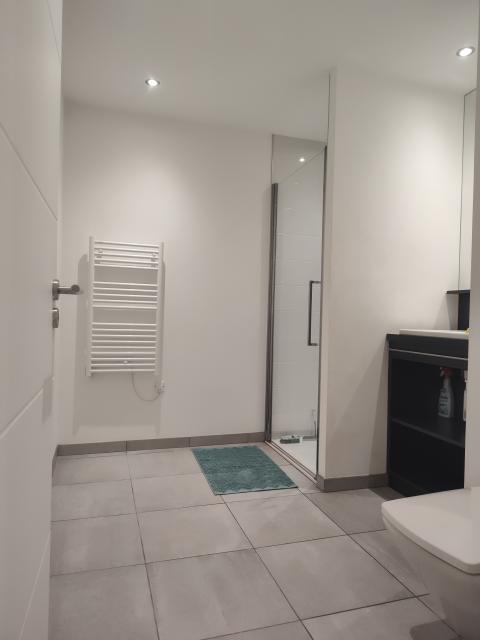 Location appartement T2 Nantes - Photo 9