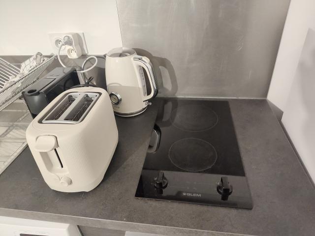Location appartement T2 Nantes - Photo 10