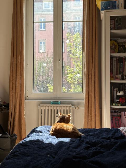 Location chambre Strasbourg - Photo 8