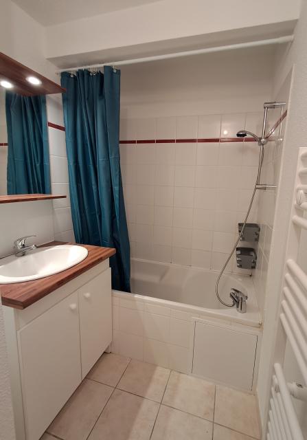 Location appartement T2 St Brieuc - Photo 7