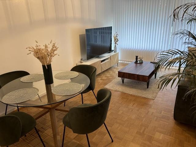 Location appartement T3 Illkirch Graffenstaden - Photo 3