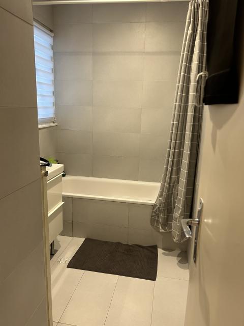 Location appartement T3 Illkirch Graffenstaden - Photo 4