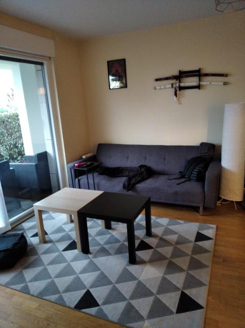 Location appartement T2 Strasbourg - Photo 6