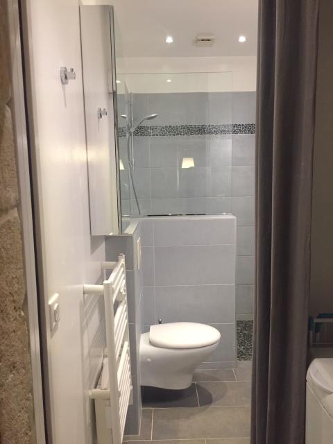 Location appartement T2 Lyon 1 - Photo 8