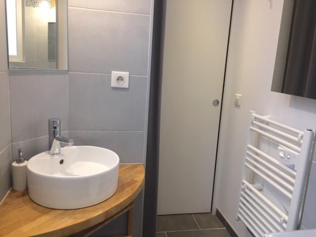 Location appartement T2 Lyon 1 - Photo 9