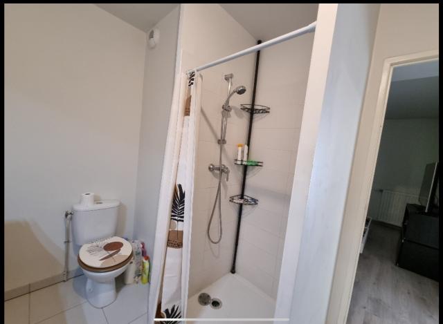 Location appartement T2 Beauzelle - Photo 7