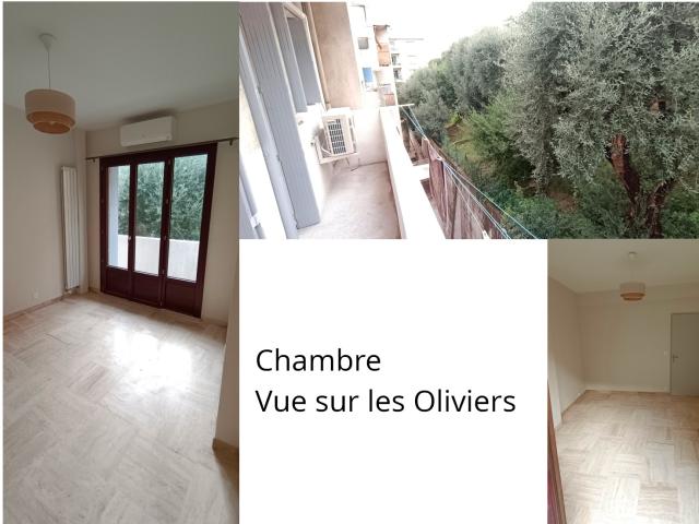 Location appartement T2 Nice - Photo 5