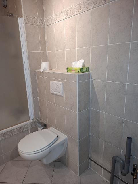 Location appartement T2 Lyon 3 - Photo 4