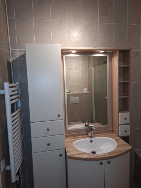 Location appartement T2 Lyon 3 - Photo 5