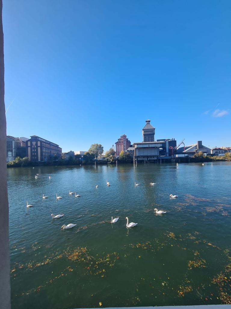 Location chambre Corbeil Essonnes - Photo 4