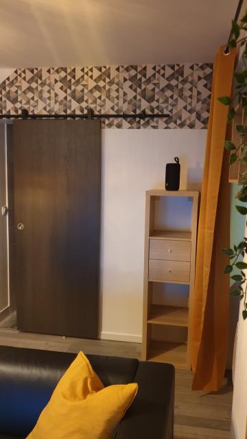 Location appartement T2 Mulhouse - Photo 9
