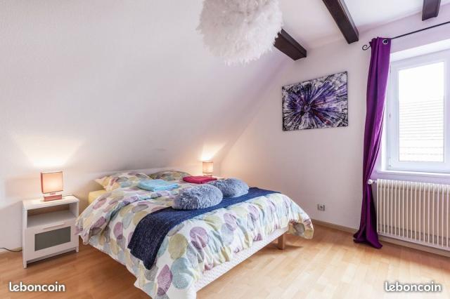 Location appartement T3 Sundhoffen - Photo 4