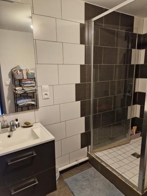 Location appartement T4 Scey sur Saone et St Albin - Photo 2