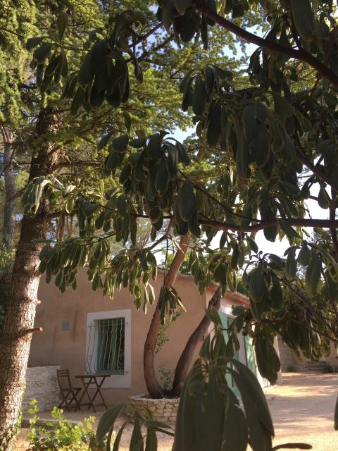 Location studio Nimes - Photo 2