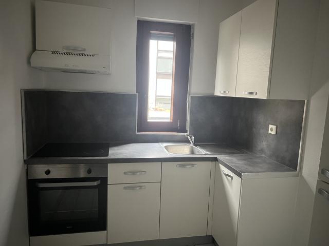 Location appartement T2 Strasbourg - Photo 2