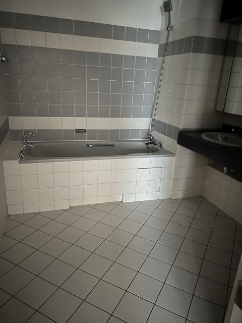 Location appartement T2 Strasbourg - Photo 3