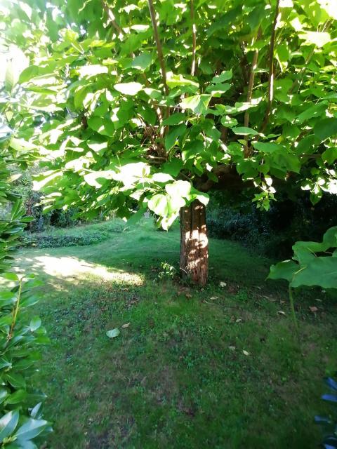 Location maison F5 Villentrois - Photo 7