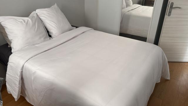 Location appartement T3 Paris 11 - Photo 3