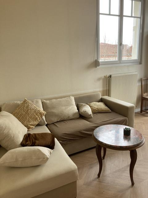 Location appartement T2 St Dizier - Photo 10