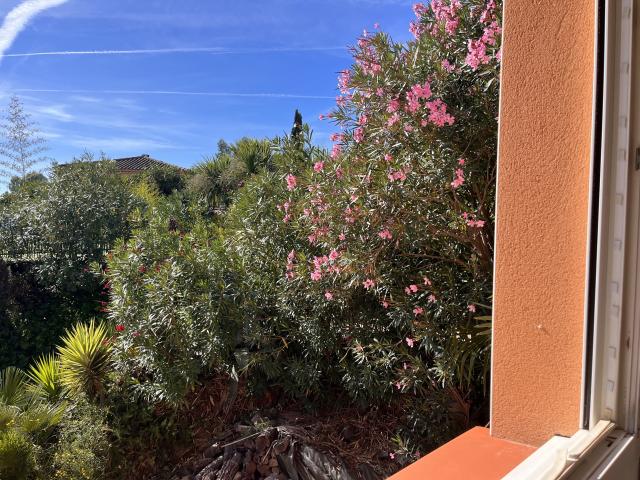 Location appartement T2 Tournefeuille - Photo 8