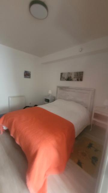 Location appartement T2 Charency Vezin - Photo 5