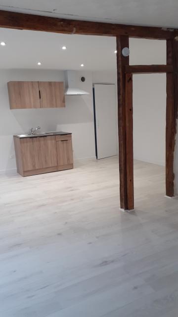 Location appartement T2 Villeneuve sur Yonne - Photo 5