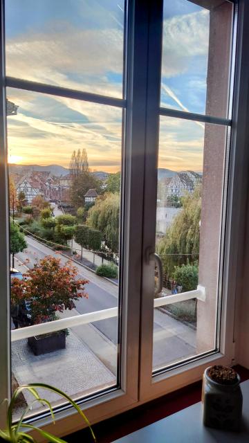 Location appartement T4 Colmar - Photo 3