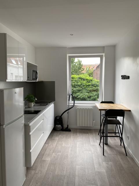 Location appartement T2 Lille - Photo 8