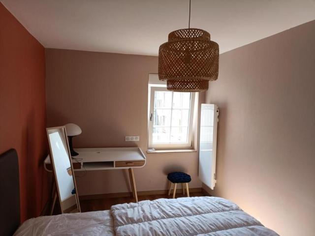 Location appartement T2 Nancy - Photo 7