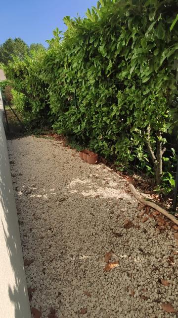 Location appartement T2 Lyon 5 - Photo 5