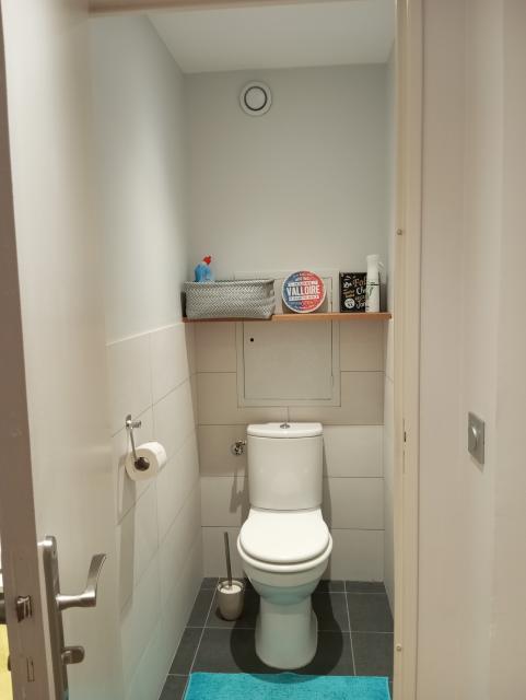 Location appartement T3 Lyon 4 - Photo 5