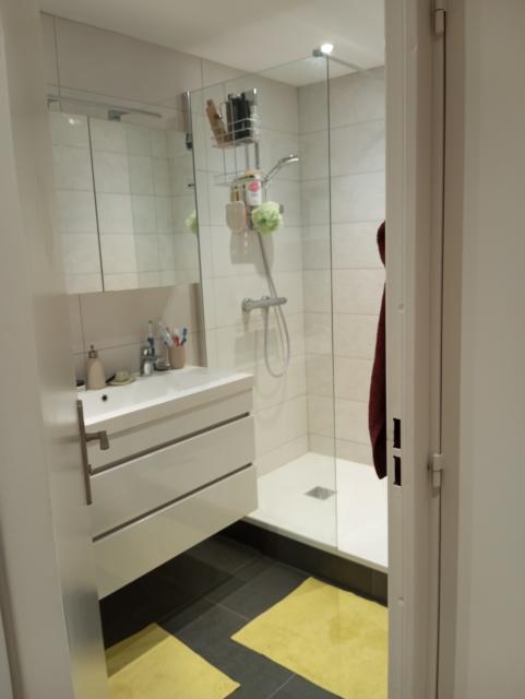 Location appartement T3 Lyon 4 - Photo 6
