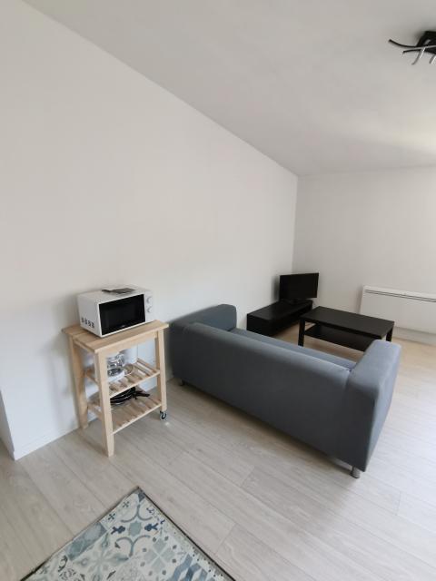 Location appartement T3 Thiers - Photo 3