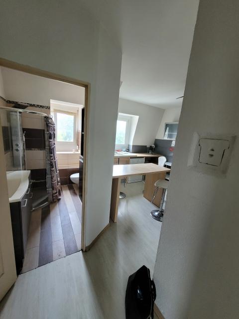 Location appartement T3 Mulhouse - Photo 2