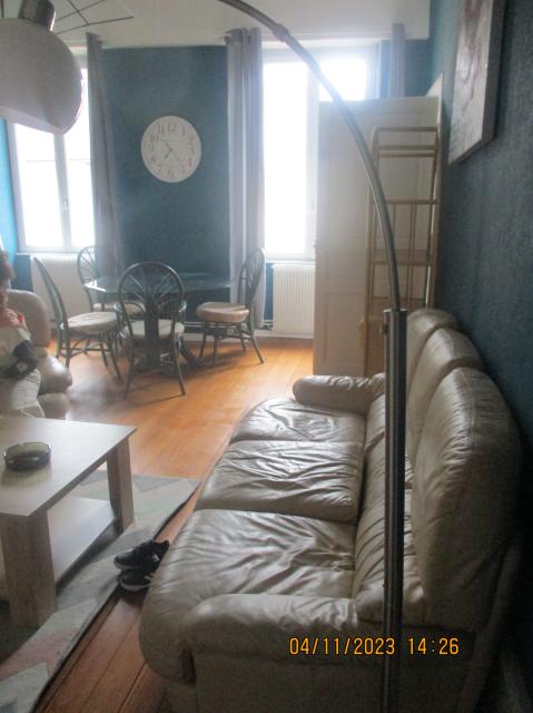 Location appartement T3 Belley - Photo 8
