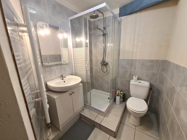 Location appartement T2 St Martin d'Heres - Photo 3