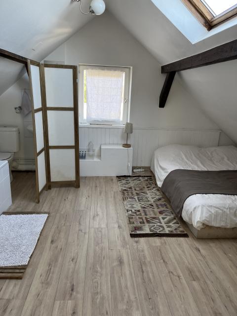 Location appartement T3 Strasbourg - Photo 3