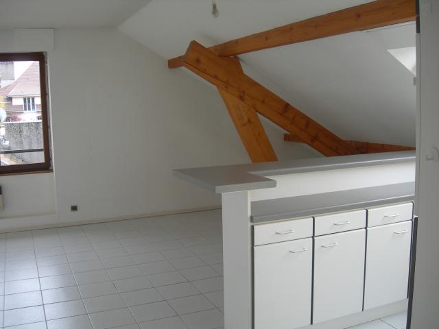Location appartement T2 St Die des Vosges - Photo 2