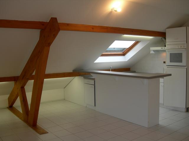 Location appartement T2 St Die des Vosges - Photo 4