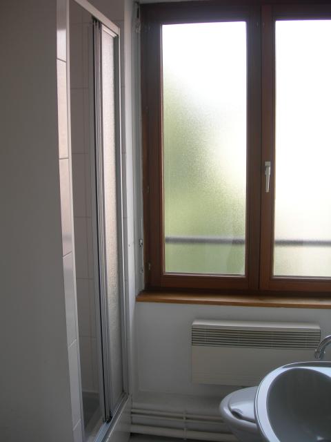 Location appartement T2 St Die des Vosges - Photo 5
