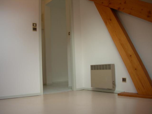 Location appartement T2 St Die des Vosges - Photo 8