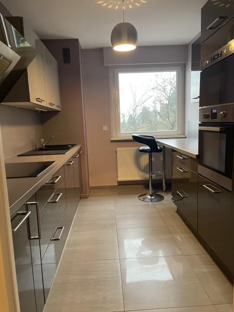 Location appartement T5 Brunstatt - Photo 2