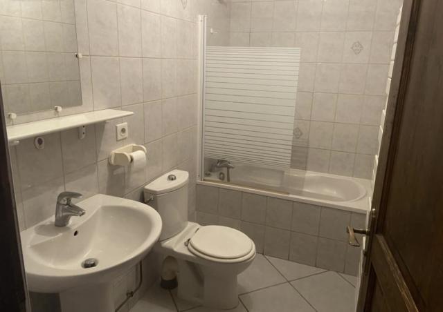 Location appartement T2 Scionzier - Photo 2